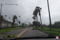 16 - Clearwater after Irma -_