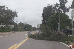 17 - Clearwater after Irma -_