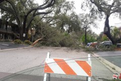 25 - Clearwater after Irma -_