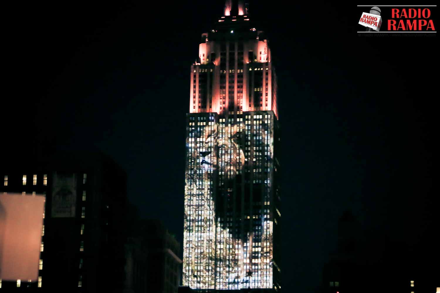 Empire State Building zaświecił w kolorach zagrożonych zwierząt