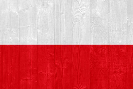Reprezentacja Polski oficjalnie powitana w wiosce olimpijskiej w Rio de Janeiro
