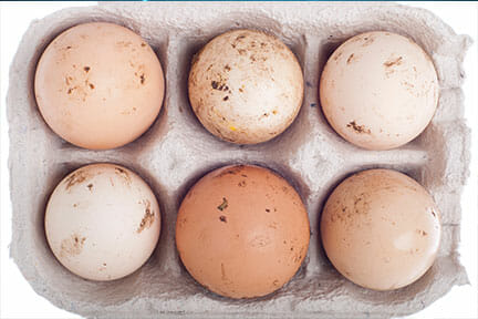 Niebezpieczne jaja ze śladami salmonelli trafiły z Polski na rynek Unii Europejskiej