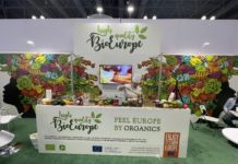 “Przez żołądek do serca” – Polskie produkty gotowe na podbój podniebień Amerykanów