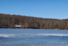 “Zimna woda zdrowia doda” – Morsy rozpoczynają kolejny sezon