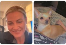 Polka na ratunek pieskowi na nowojorskiej autostradzie